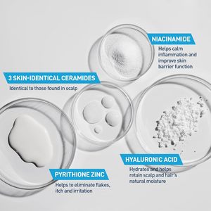 Shampoing Hydratant Anti-Pelliculaire en Gros 1% Pyrithione Zinc 19 Fl Oz Format Économique avec Céramides Niacinamide Acide Hyaluronique - Product Image 6