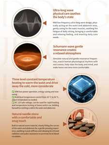 Protector de Cinturón Inteligente con Control por <span class=keywords><strong>Voz</strong></span> DC 12V, Calentamiento Inteligente de Cinco Elementos - Product Image 3