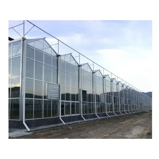 Nuova serra di vetro per piantare ortaggi agricoli
