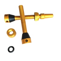 Valve universelle Presta/Schrader sans chambre à air 40 mm avec noyau de valve amovible et capuchon fonctionnel – Accessoires de vélo légers et durables