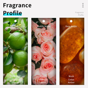 Parfums pour hommes VILILY 100 ml, parfums originaux en gros, <span class=keywords><strong>parfum</strong></span> aquatique aromatique, flacon de <span class=keywords><strong>parfum</strong></span> de luxe personnalisé pour hommes avec boîte - Product Image 5