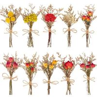 Lot de 10 mini bouquets de fleurs séchées pour cadeaux de mariage, de baby shower, de fête, cadeaux pour invités, cadeaux pour fête prénuptiale, cadeaux de baptême