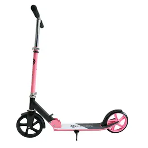 Commerce de gros 2 grandes roues scooter pliable réglable en métal pour les enfants, garçons et filles