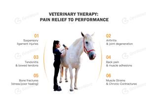 पेशेवर विषुव चिकित्सा उपकरण घोड़ों के पालतू जानवरों के लिए त्वरित दर्द राहत राहत शरीर अनुप्रयोग - Product Image 4