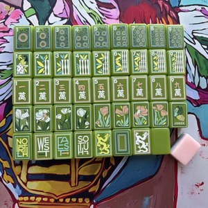 <span class=keywords><strong>Jeu</strong></span> <span class=keywords><strong>de</strong></span> Mahjong américain <span class=keywords><strong>de</strong></span> luxe <span class=keywords><strong>de</strong></span> haute qualité, 160 tuiles en acrylique rose et vert à 3 couches - Product Image 2