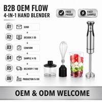 Ensemble de mixeur plongeant 600W 4 en 1, corps en acier inoxydable, 2 vitesses, fouet double, bol hachoir, lame SS304, VDE