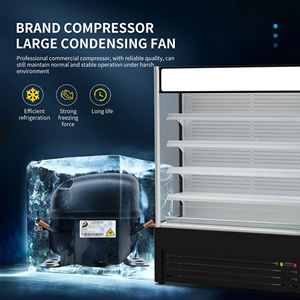 <span class=keywords><strong>ตู้</strong></span>ม่านอากาศเย็นหลายชั้นแสดง<span class=keywords><strong>โฆษณา</strong></span> R290 LED 110V ได้รับการรับรองจาก US ETL - Product Image 5