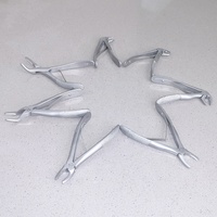 LIZE PET Forceps d'extraction dentaire pour animaux de compagnie en acier inoxydable certifié CE Classe II