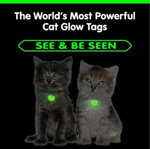 Collier lumineux en silicone vert phosphorescent pour petits animaux, avec pendentif rond gravable pour animaux de compagnie, style mode - Product Image 4