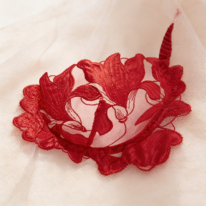 アメリカで大人気の赤いレースの下着、セクシーでおしゃれな高品質の白いレースの透け感のあるブラ、セクシーなスーツ、女性用パンティーセット - Product Image 2