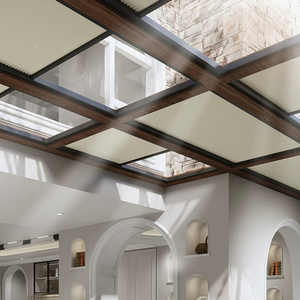 Stores occultants modernes <span class=keywords><strong>pour</strong></span> puits <span class=keywords><strong>de</strong></span> lumière encastrés avec commande électrique, protection UV et conception étanche - Product Image 3