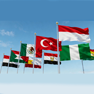 Tùy chỉnh 3x5 Polyester cờ mỹ biểu ngữ và hiển thị cờ của các nước khác nhau - Product Image 4