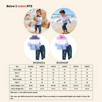 Ensembles de vêtements 2 pièces pour garçons printemps-automne, tenues en jean pour enfants, vêtements en coton pour garçons, vente en gros