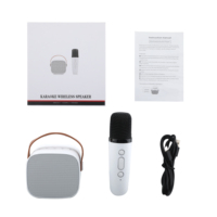 Haut-parleur Bluetooth sans fil avec microphone intégré pour karaoké familial en extérieur, idéal pour la pratique du chant