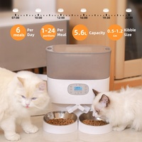 Distributeur de nourriture pour animaux de compagnie pour chat avec séparateur bidirectionnel et double bols Distributeur automatique de nourriture pour chien