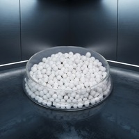 Perles d'alumine activée de haute pureté, déshydratant adsorbant pour le séchage de l'air et la purification des gaz