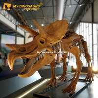 Squelette de dinosaure Triceratops grandeur nature du Musée d'histoire naturelle MY Dino DS058