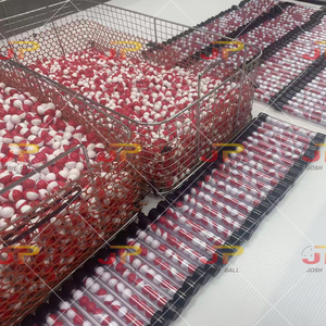 Seguridad en el Hogar y la Escuela: Balas de Polvo de Impacto Directo Menos Letales - Paquete a Granel de 500 Unidades - Product Image 5