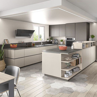 Meubles de maison au design moderne européen Panier à tirer durable Armoire de cuisine en acier inoxydable à vendre