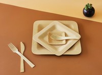 Assiettes en bambou jetables bio écologiques à prix de gros