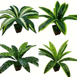 Plante artificielle Aglaonema attrayante avec des feuilles éclatantes pour balcon d'appartement et verdure de bureau - Product Image 5