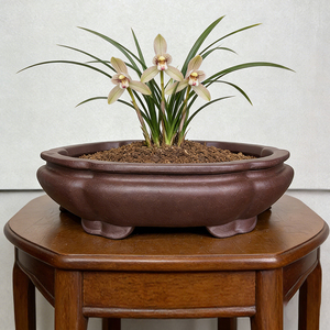 Maceta Tradicional Qiaoyi para Bonsái, Maceta Irregular de <span class=keywords><strong>Arcilla</strong></span> Púrpura Yi Xing, Macetas Rústicas para Árboles, Drenaje Superior, Ecológicas - Product Image 3