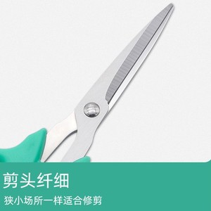 Nice Stainless Steel Pruning Shears Green Bypass 10-20 Mm For Fruit Vegetable Gardening Home Use - Product Image 4