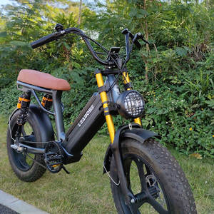 E Bicycle <span class=keywords><strong>750</strong></span> Watt Usa <span class=keywords><strong>750</strong></span> w Pit Eu Entrepôt Sur Ron Enduro Ebike Dirt Electric Mountain Bike - Product Image 2