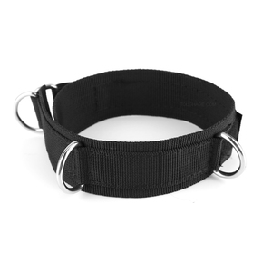 TOUGHAGE 金属皮革项圈 BDSM SM 游戏性约束恋物癖性玩具颈环情侣奴隶游戏 - Product Image 1