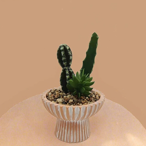 Jardinière <span class=keywords><strong>en</strong></span> <span class=keywords><strong>terre</strong></span> <span class=keywords><strong>cuite</strong></span> <span class=keywords><strong>en</strong></span> céramique avec plantes de cactus, <span class=keywords><strong>pot</strong></span> de fleur décoratif d'intérieur - Product Image 2