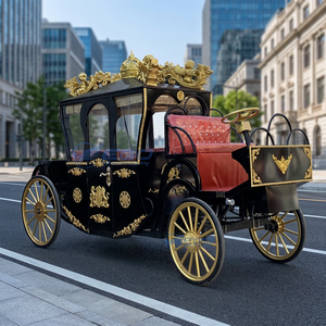Calèche électrique royale de luxe noire personnalisée de haute qualité avec décorations, calèche de tourisme à vendre - Product Image 1