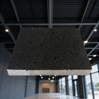 Plaques de plafond suspendu en fibre minérale ignifuge acoustique de couleur noir mat moderne PuloMax pour cinéma, restaurant, hall, théâtre