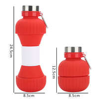 Bouteille d'eau de sport sans BPA en gros, bouteille en silicone personnalisée mignonne avec motifs multisports pour cadeaux promotionnels