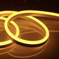 LED Neon Outdoor Engineering Flexible Personnalisable Soft Light Strip 220V Waterproof Advertising Signage Line Light