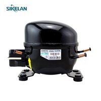 Compresor de Refrigerador y Congelador de Acero Inoxidable de Tamaño Pequeño R134A de 1/3HP, 1/4HP, 1/5HP, 1/6HP