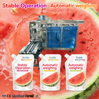 Machine de remplissage de jus de pastèque la plus vendue avec machine d'emballage de sachets préformés à embout, 220V 380V, prend en charge OEM et ODM