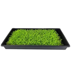 1020 flat large shallow hydroponic tray seed starting plant germination tray for microgreens wheatgrass