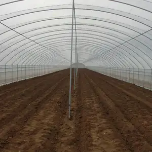 Hangar en plastique pour légumes, tunnel de serre hydroponique agricole à portée unique