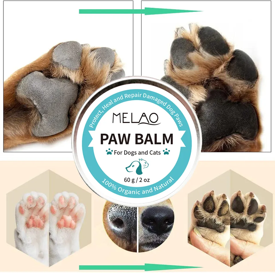 01 Baume pour pattes d'animaux