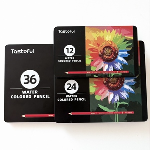 Matite Colorate Idrosolubili Set da 12, 24, 36, 72 e 120 Colori con Scatola in Metallo per Disegno e Pittura Artistica - Product Image 2