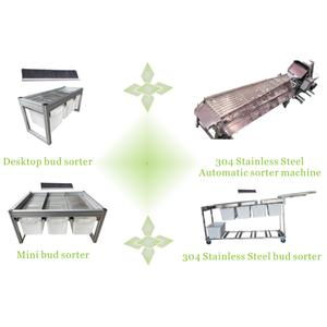 Hochleistungs-Edelstahlwerk-Knospen-Sortiermaschine Moderne landwirtschaft liche Verwendung Sortier ausrüstung Großhandel - Product Image 5