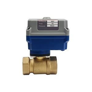 Vanne à bille motorisée électrique DN20 220 Volt Dispositif de contrôle de débit vertical à 2 voies personnalisable - Product Image 1