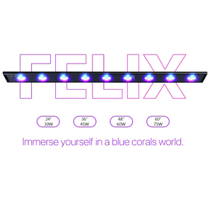 <span class=keywords><strong>Lampe</strong></span> <span class=keywords><strong>LED</strong></span> Felix Blue Plus UV pour <span class=keywords><strong>aquarium</strong></span> marin, récif, LPS, SPS, <span class=keywords><strong>eau</strong></span> <span class=keywords><strong>de</strong></span> <span class=keywords><strong>mer</strong></span>, croissance des coraux, avec contrôle WiFi par application - Product Image 5