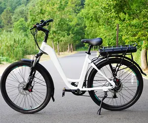 Teeness دراجة كهربائية الصانع 200W 250W 350W 36V 700C 26 بوصة الفضة المرأة الحضرية خطوة من خلال دراجة مدينة كهربائية