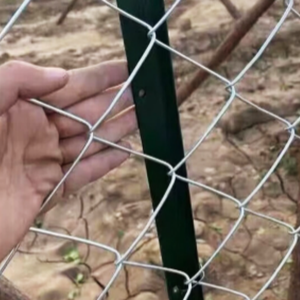 سياج شبكي مجلفن بارتفاعات مخصصة 6 و8 و10 أقدام للحدائق، ألواح سياج حلقي مجلفن - Product Image 4