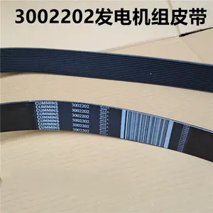 Hoge Kwaliteit Generator Motor Kt19 K19 K38 K50 Spanner & Riemen Nieuwe 3002202 3002200 <span class=keywords><strong>3002203</strong></span> 20-1707 Ventilatorriem Voor Cummins - Product Image 3