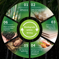Bandeja Ecológica Desechable de Fibra de Caña de Azúcar, Biodegradable, Compostable, Resistente a la Grasa, Apta para Alimentos, para Envasado de Snacks