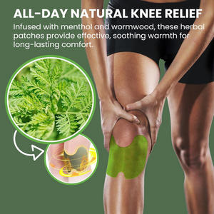 Tambalan lutut Herbal alami kualitas tinggi 2025 produk Tiongkok penghilang nyeri mulut hidung & Tubuh Wormwood punggung - Product Image 3