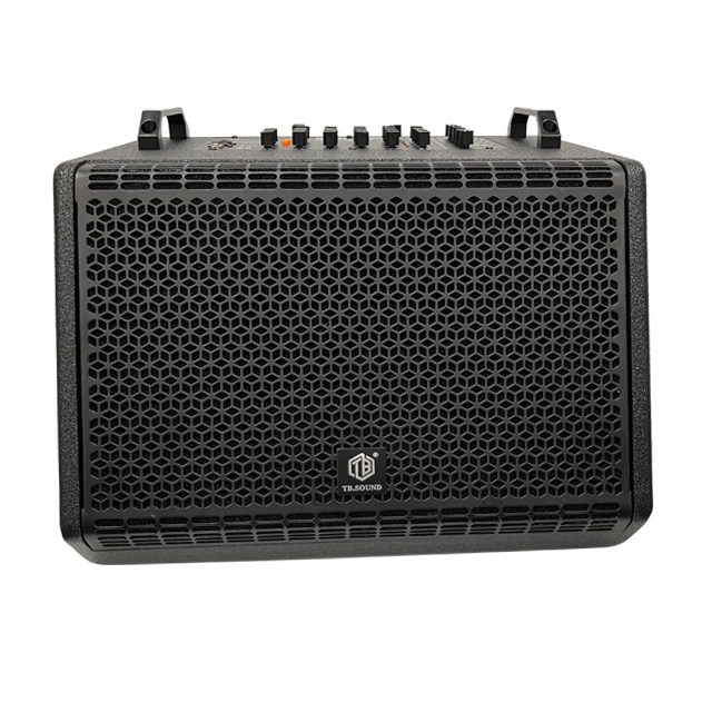 12 "coaxial Active Speaker