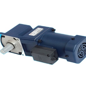 Pour moteur de régulation de vitesse JSCC 70TP06GV22 220V 6W - Product Image 2